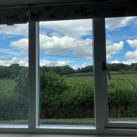 Bed and Breakfast Withy Farm Canterbury Exteriér fotografie