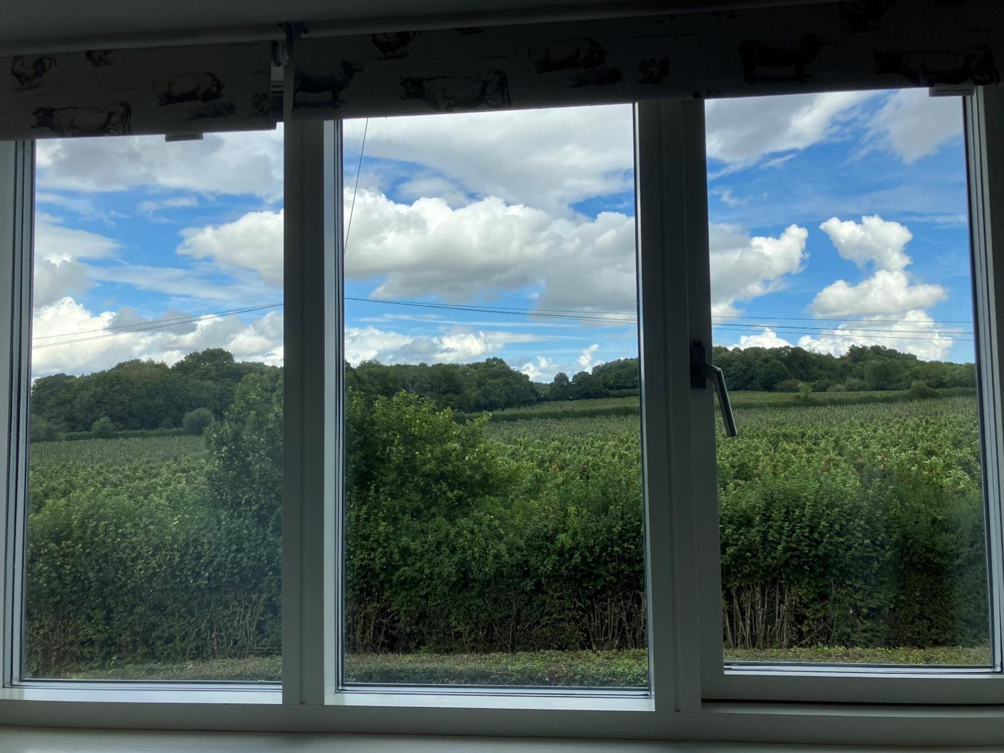 Bed and Breakfast Withy Farm Canterbury Exteriér fotografie